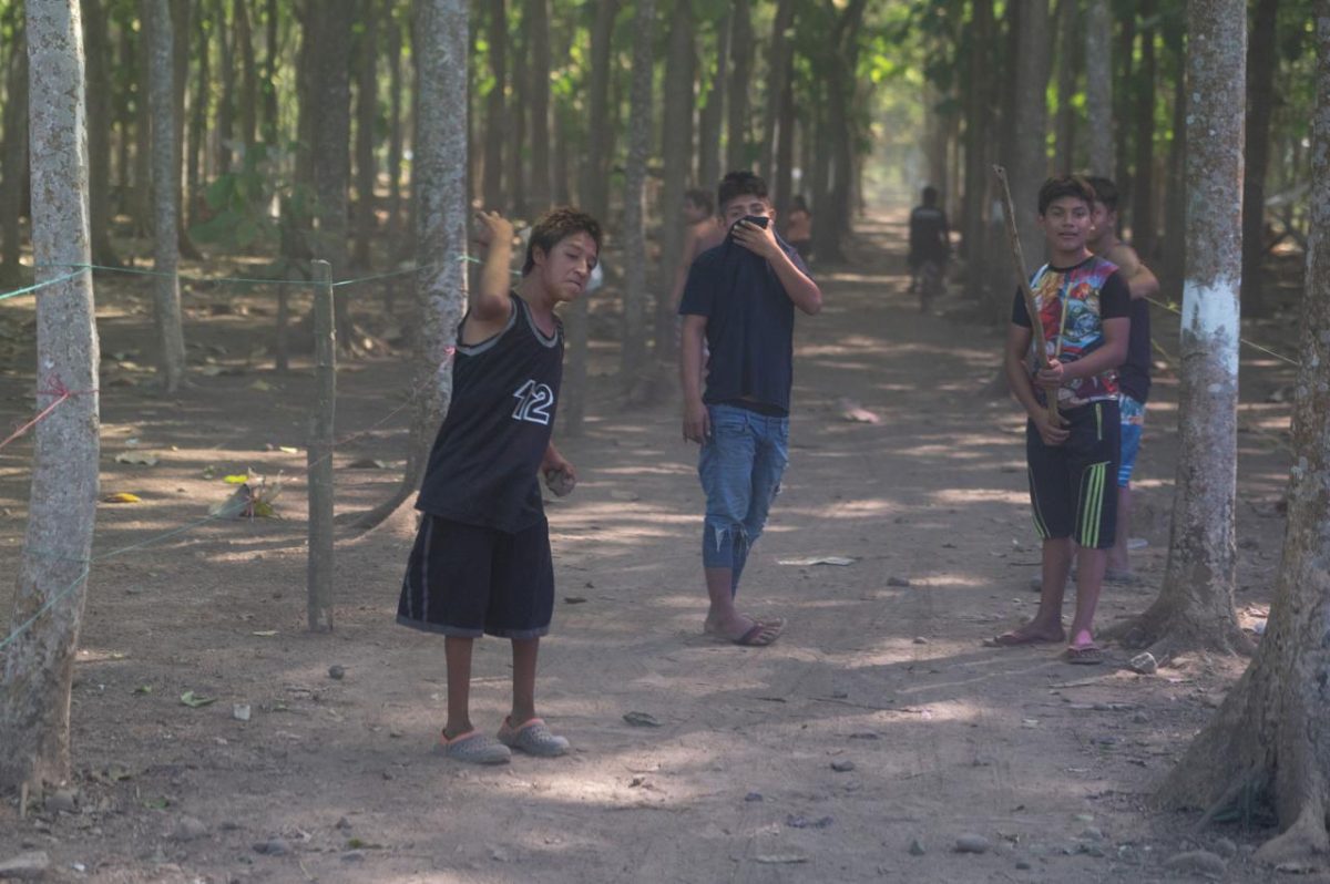 Impunidad y violación a la Constitución:  Dos fincas desalojadas en el 2020 de 124 denunciadas por ACDEPRO imagen