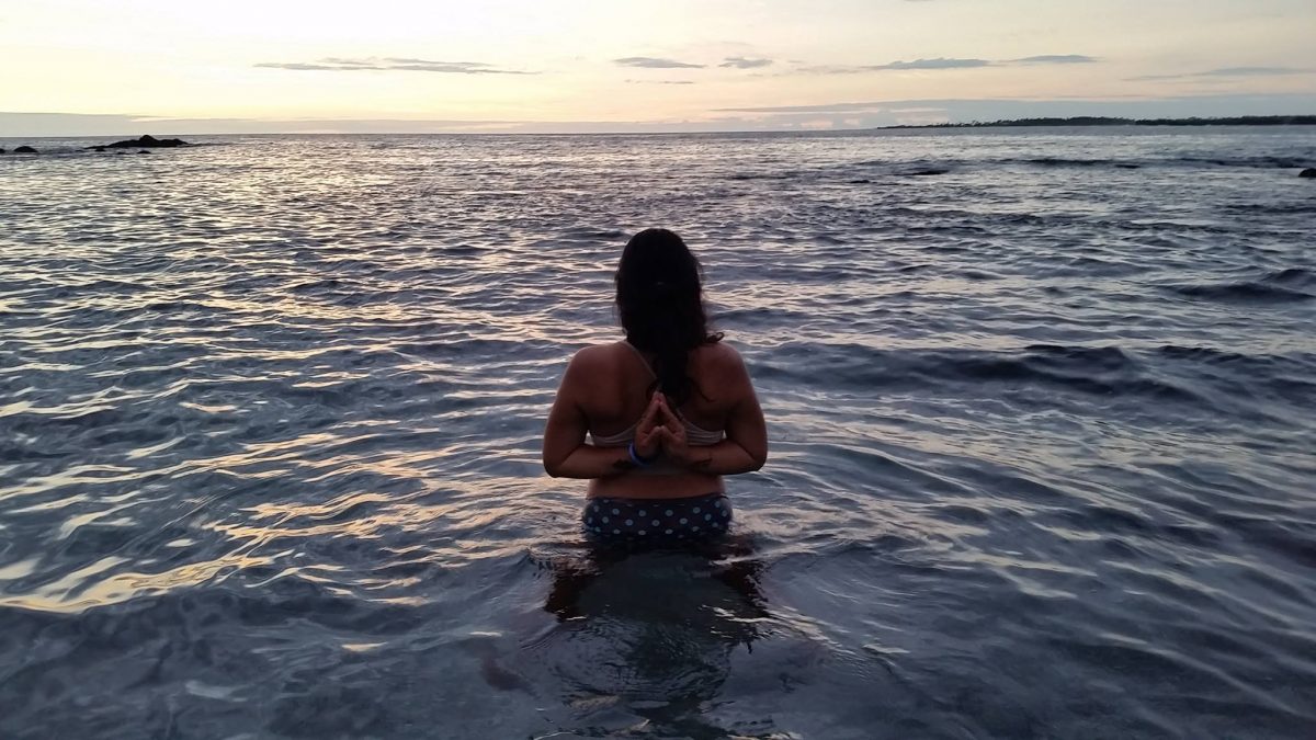 Las flores del diccionario y los 12 años de viaje por el mundo imagen