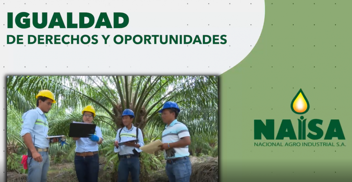 NAISA genera desarrollo bajo igualdad de derechos y oportunidades imagen