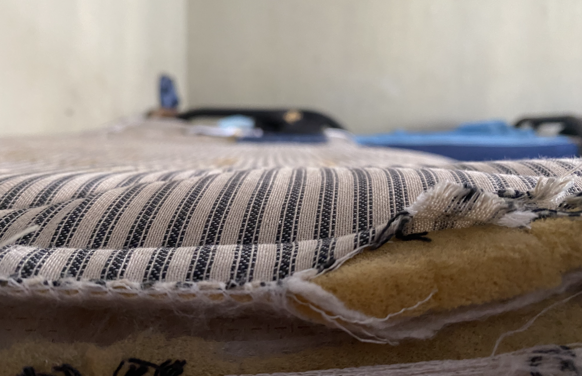 Entre chinches y carencias, la realidad de la PNC imagen