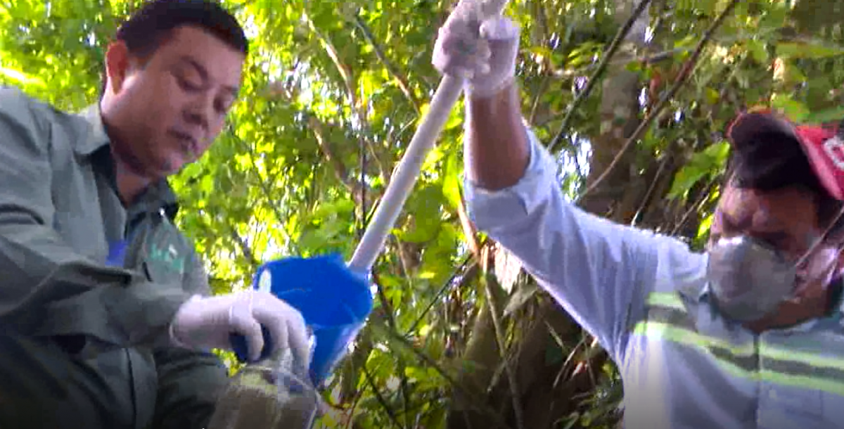 NAISA apoya a la conservación de los ecosistemas imagen