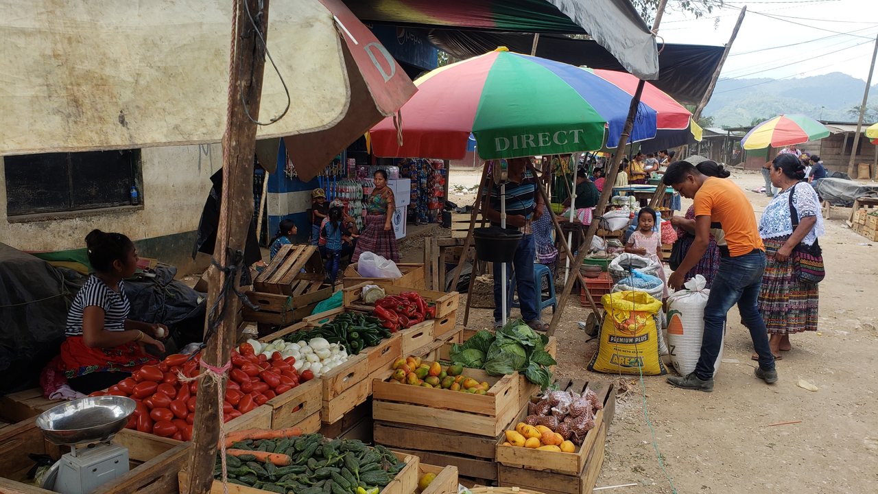 Fray Bartolomé de las Casa, un municipio en pleno desarrollo comercial y social imagen