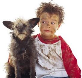 La teoría de la higiene y el covid imagen