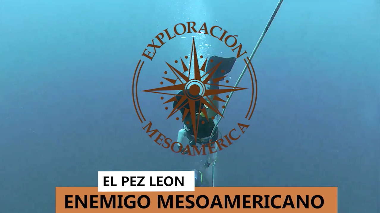 “El Pez León, amenaza de los arrecifes mesoamericanos” imagen