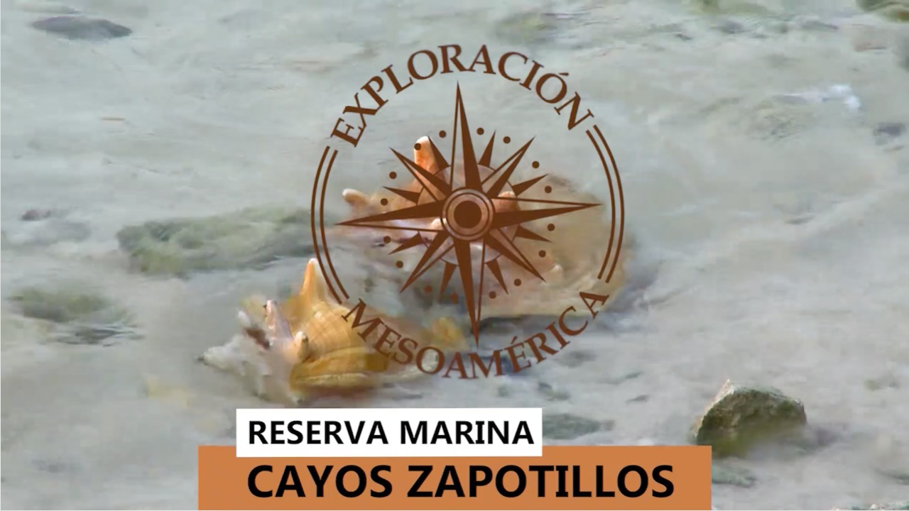 Los cayos Zapotillos tiene la suerte de experimentar un ambiente libre de pesca ilegal imagen