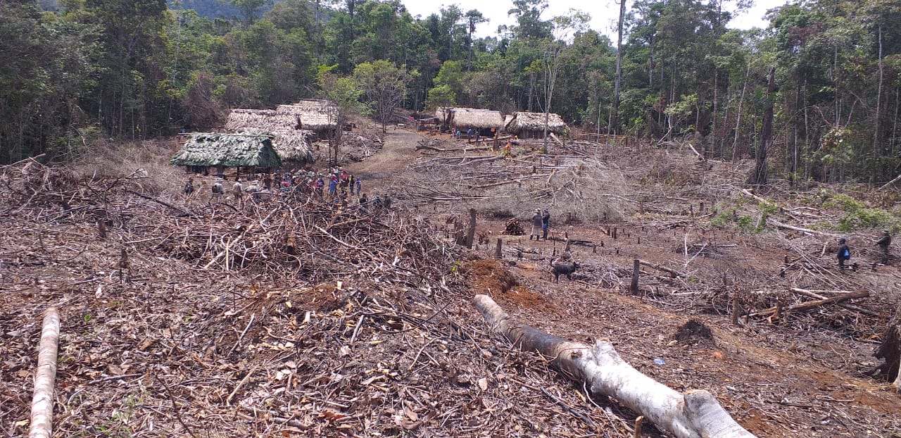 Izabal: una guerra por el agua y el medio ambiente a punto de  estallar imagen