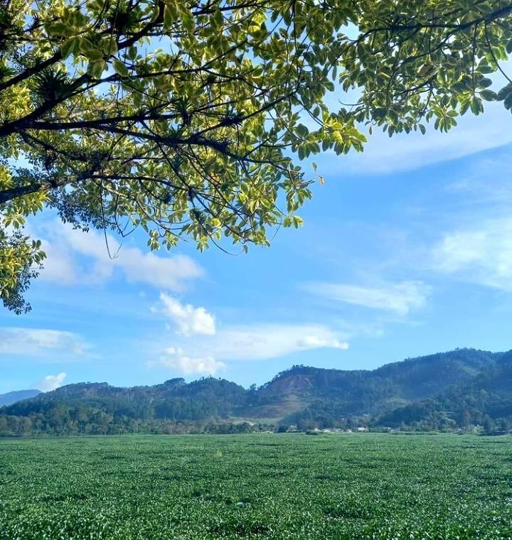 La belleza de la Laguna Chichoj se ahoga entre la contaminación y la ninfa imagen
