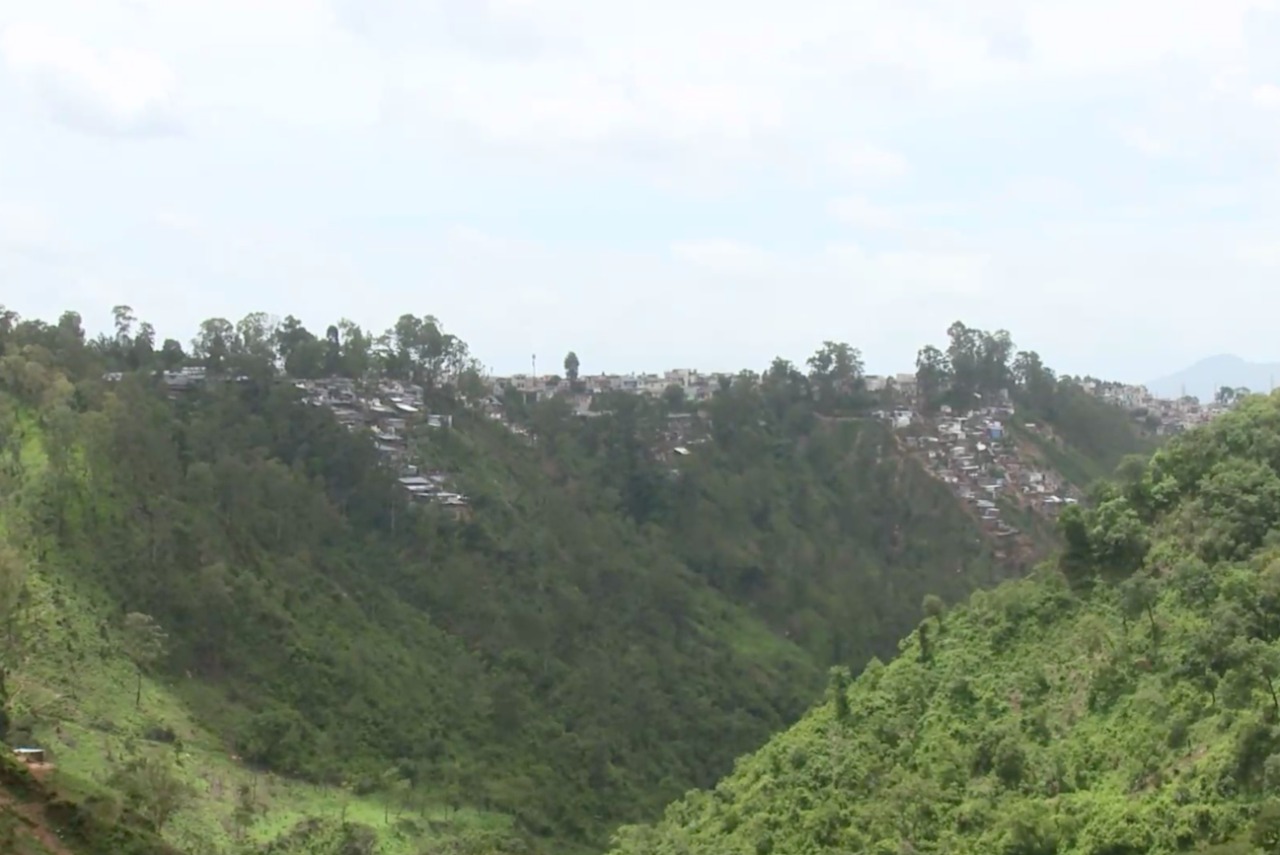 Los barrancos en la ciudad de Guatemala se han convertido en refugio de vida silvestre imagen