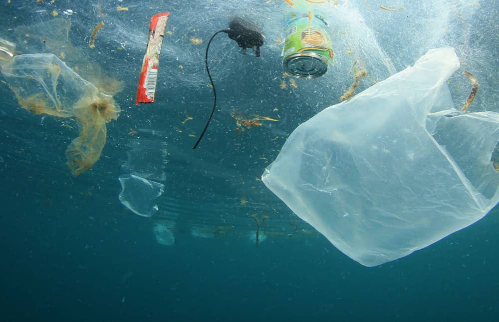 Ley de plásticos de un solo uso entraba en vigencia este 20 de septiembre, pero un acuerdo del MARN lo derogó antes de iniciar imagen