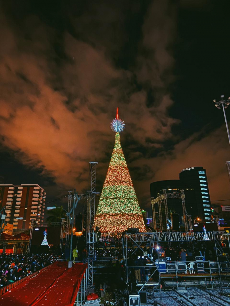Lo más curioso del Árbol Gallo 2021 imagen