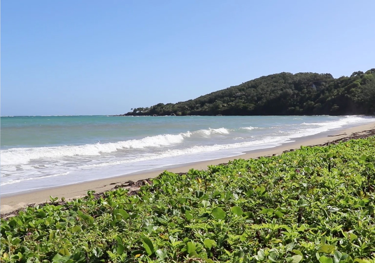 Isla de Útila: Uno de los paraísos marinos más impresionantes del mundo imagen