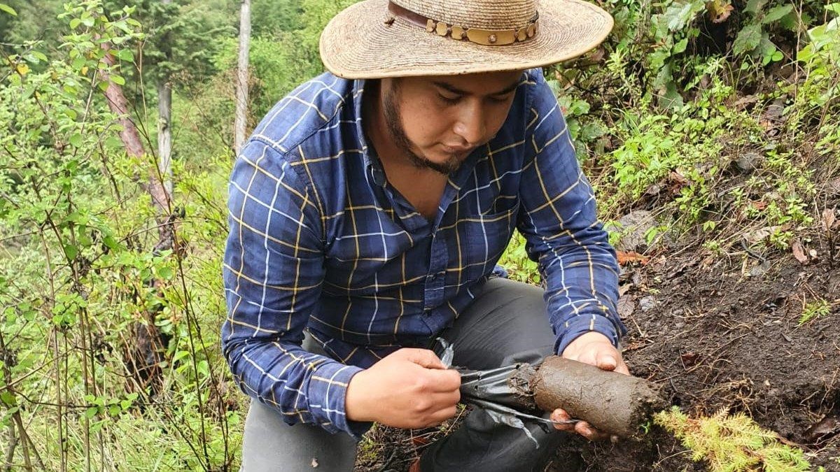 Realizan jornadas de limpieza y reforestación en diversos municipios de Totonicapán imagen