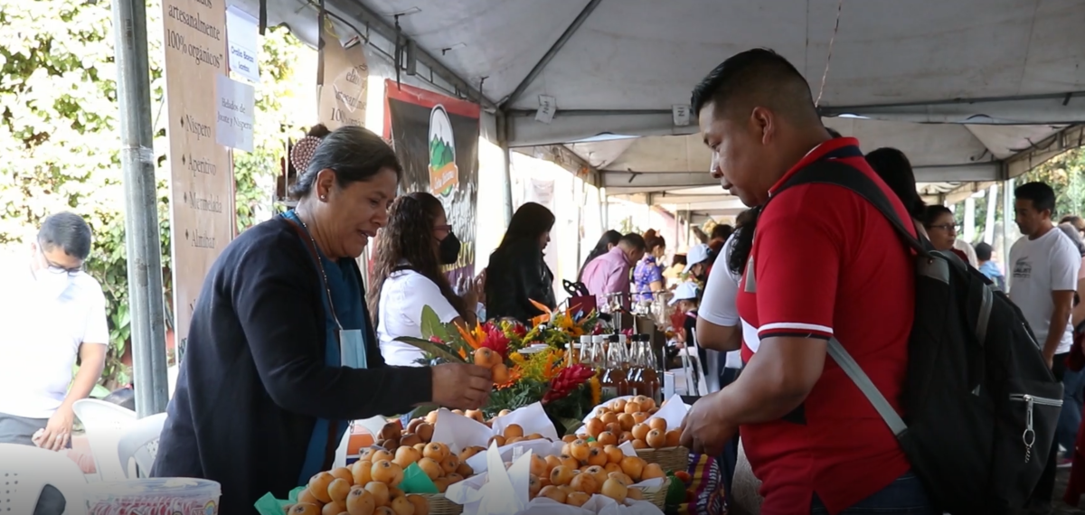 Nísperos de Antigua Guatemala y sus derivados imagen