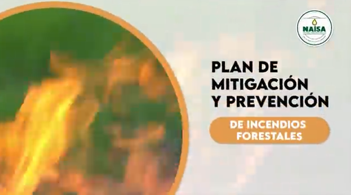 Plan de mitigación y prevención de incendios forestales imagen