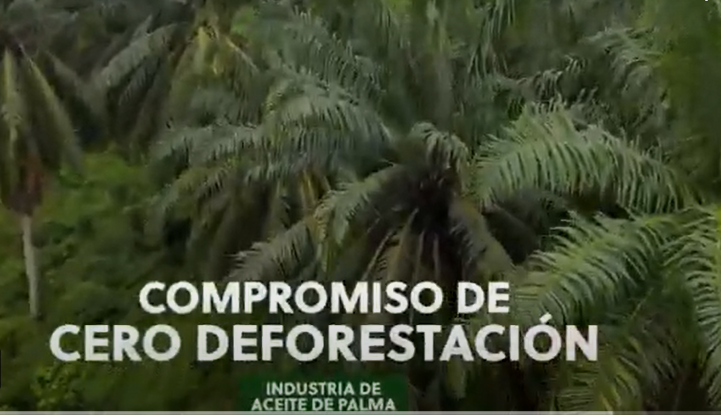 Compromiso de cero deforestación imagen