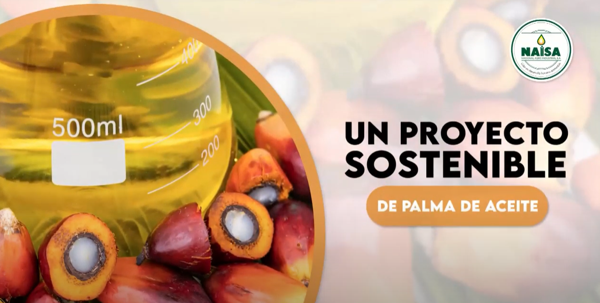 Un proyecto sostenible de palma de aceite imagen