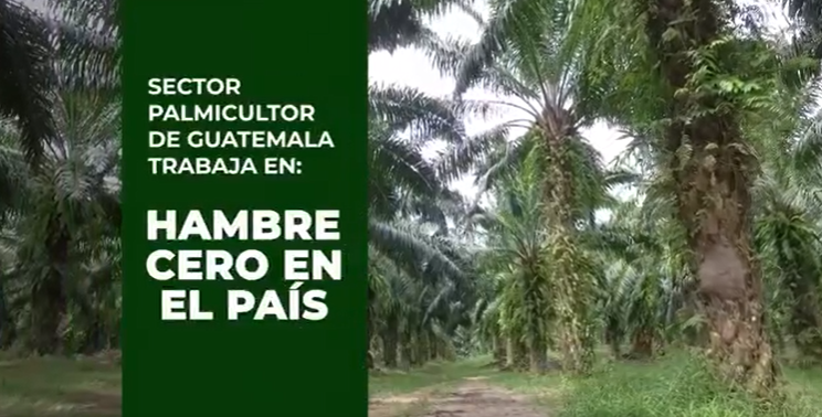 Hambre cero en el país imagen