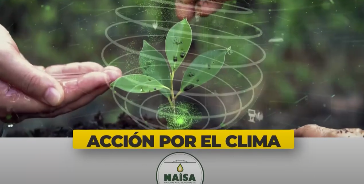 Acción en el clima imagen
