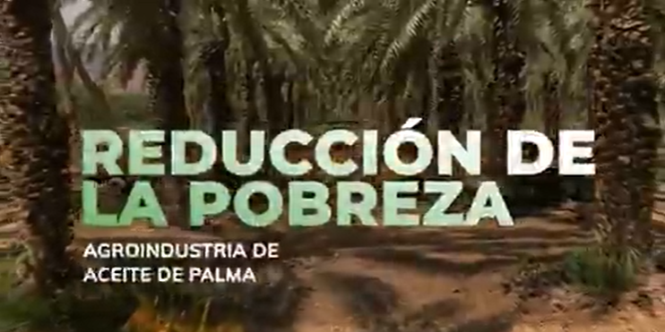 Reducción de la pobreza imagen