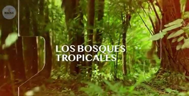 Los bosques tropicales imagen