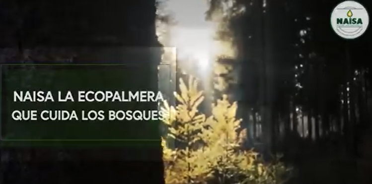 La ecopalmera que cuida los bosques imagen