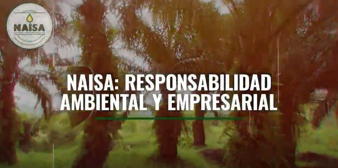 Responsabilidad ambiental y empresarial imagen
