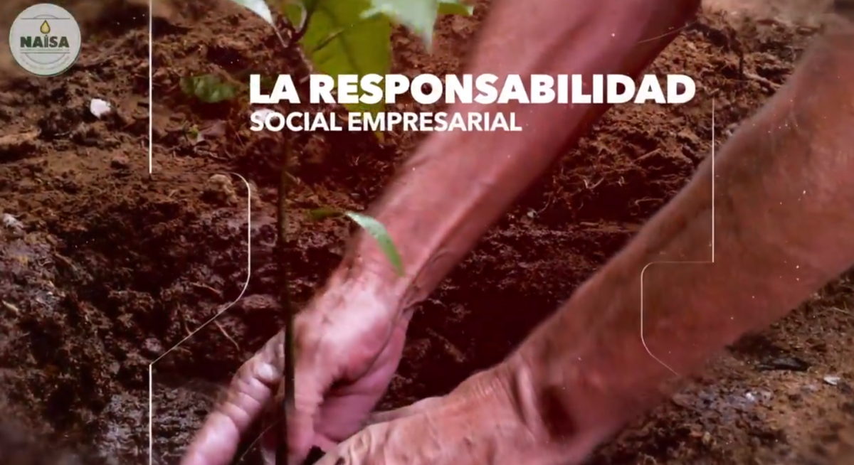 La responsabilidad social empresarial imagen