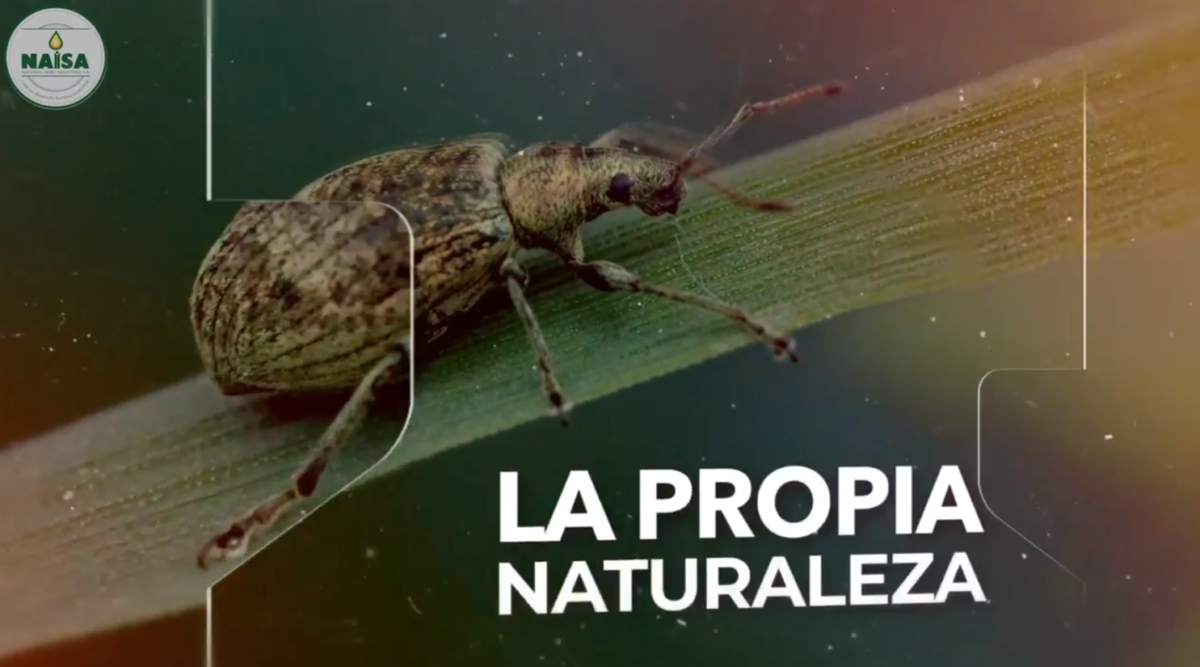 La propia naturaleza imagen