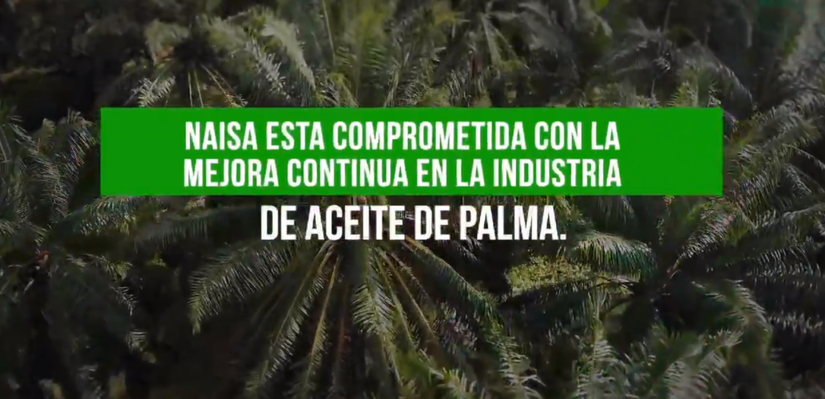 NAISA esta comprometida con la mejora continua en la industria de aceite de palma imagen