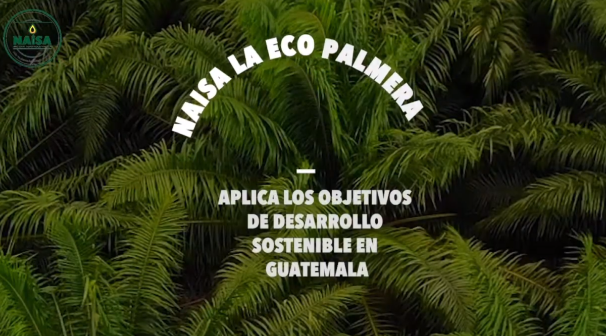 Aplica los objetivos de desarrollo sostenible en Guatemala imagen