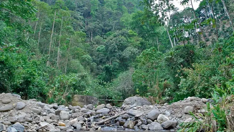 ¿Qué está pasando con el medio ambiente en Guatemala? imagen