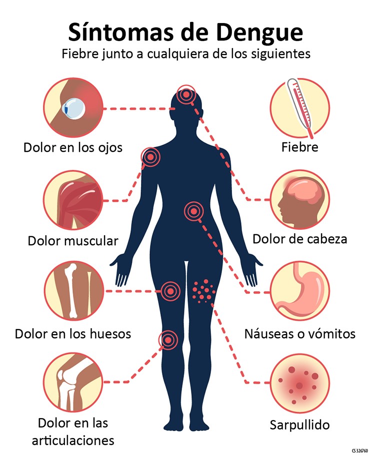 Emergencia sanitaria en Guatemala por el Dengue imagen