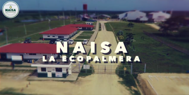 Naisa la ecopalmera es consciente imagen