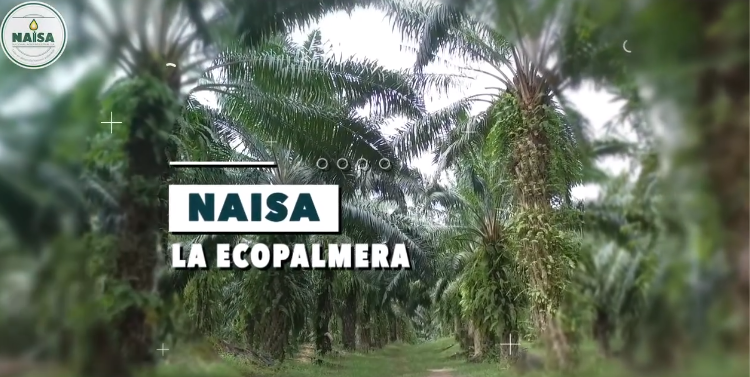 Promueve la protección de los recursos naturales imagen