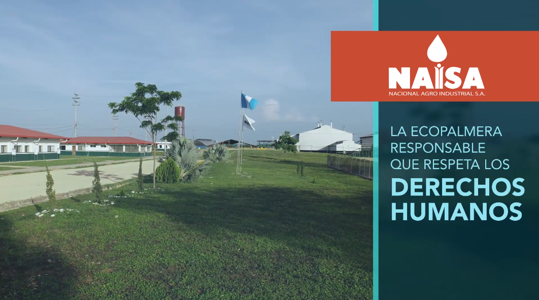 La ecopalmera responsable que respeta los derechos humanos imagen