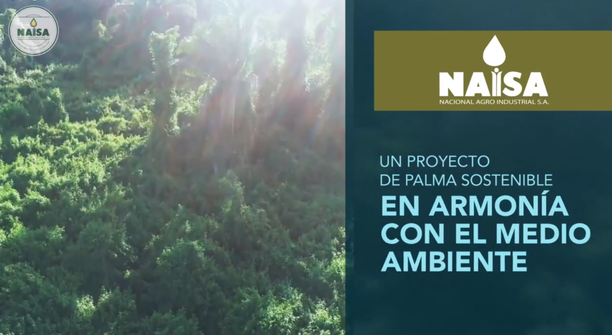 Un proyecto de palma sostenible en armonía con el medio ambiente imagen