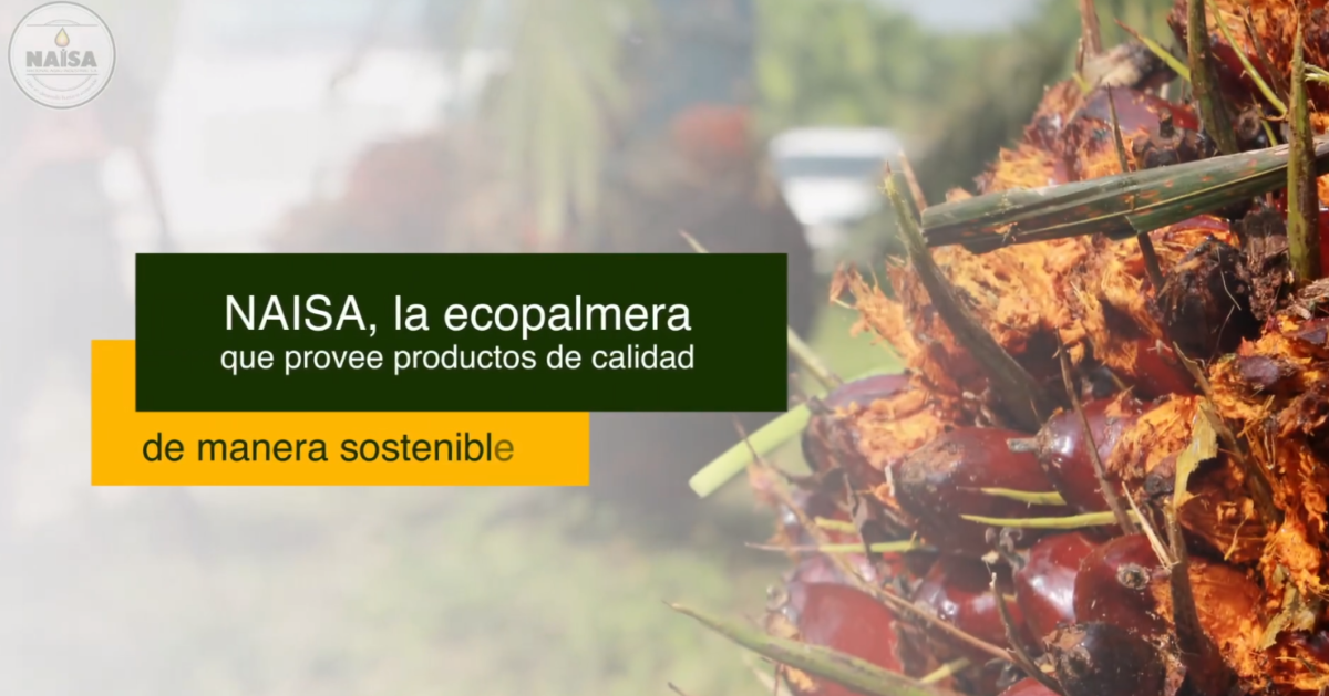 NAISA, la ecopalmera que provee productos de calidad de manera sostenible imagen
