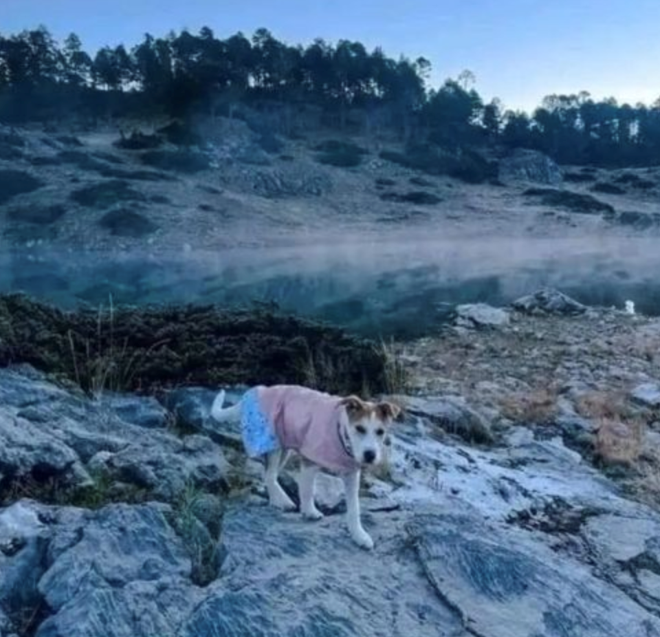 Las Heladas de Diciembre en Huehuetenango: Un Espectáculo Natural imagen