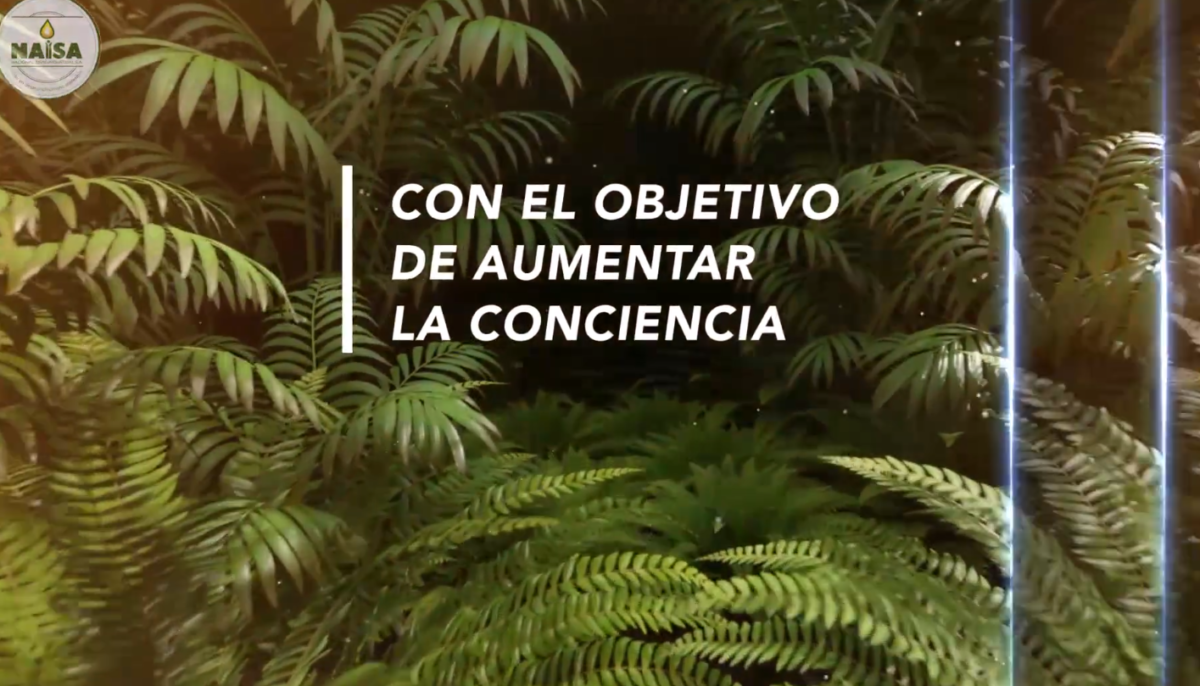 Con el objetivo de aumentar la conciencia imagen