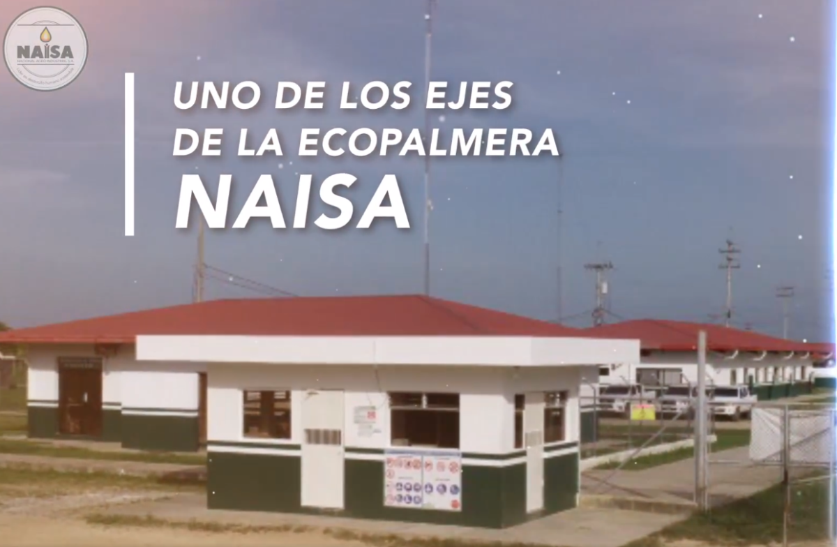 Uno de los ejes de la ecopalmera NAISA imagen