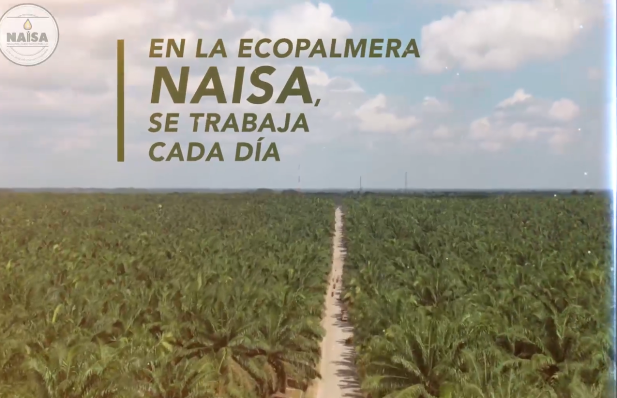 En la ecopalmera NAISA, se trabaja cada día imagen
