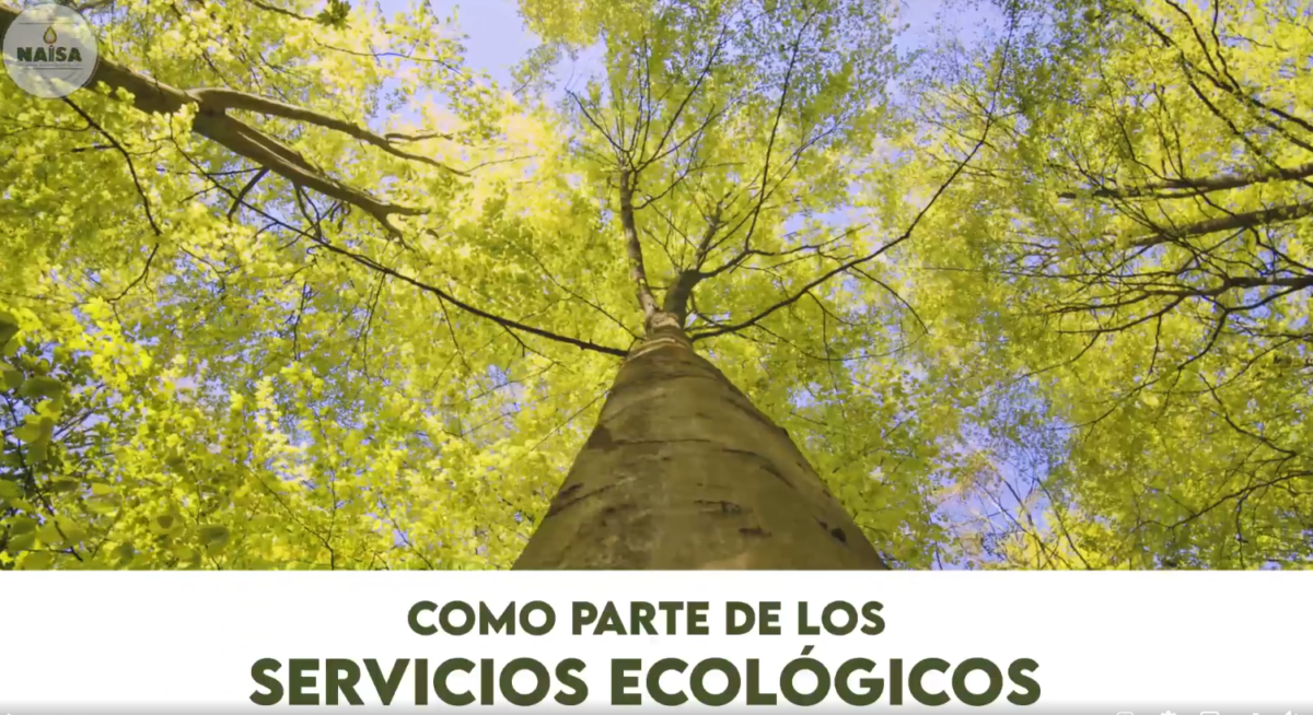 Como parte de los servicios ecológicos imagen