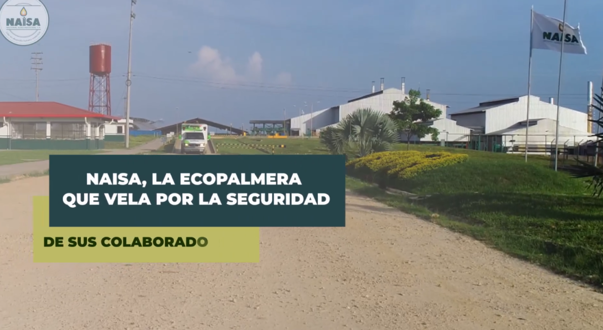 Naisa, la ecopalmera que vela por la seguridad imagen