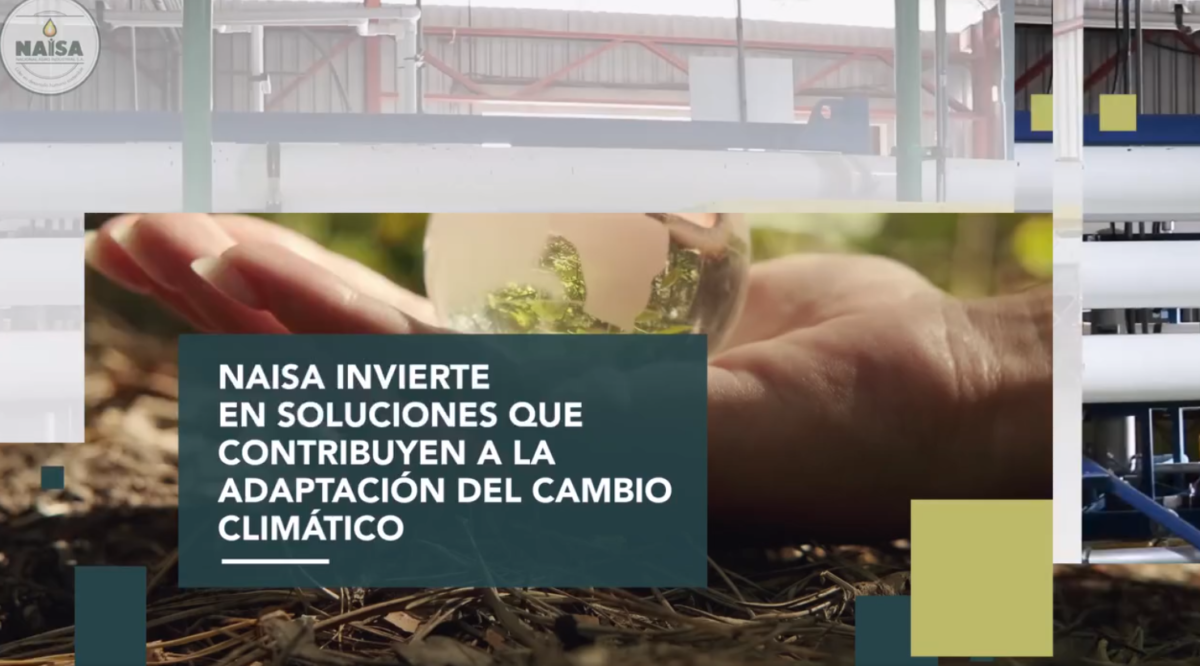 Naisa invierte en soluciones que contribuyen a la adaptación del cambio climático imagen