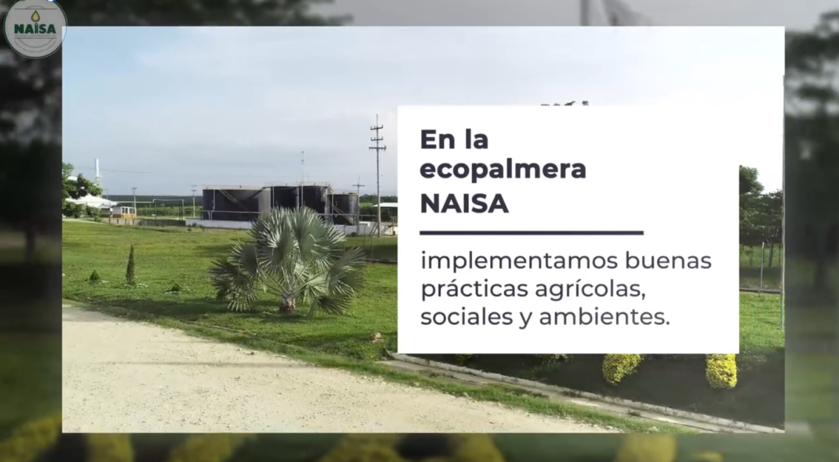 En la ecopalmera NAISA implementamos buenas prácticas agrícolas, sociales y ambientes imagen