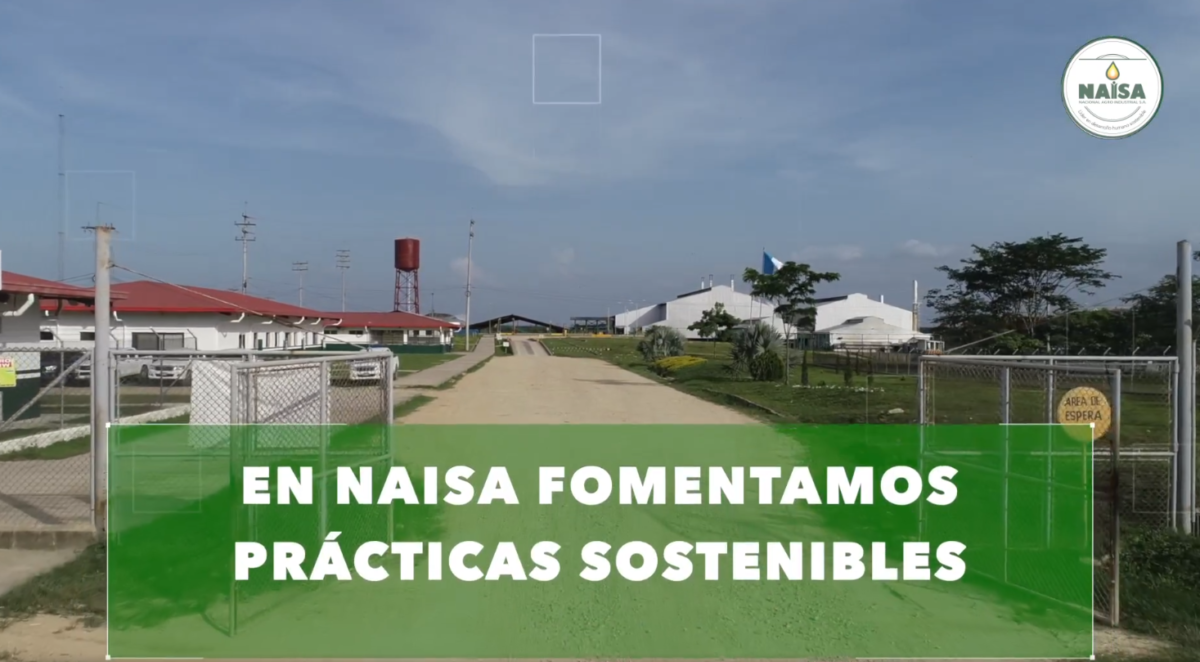 En NAISA fomentamos prácticas sostenibles imagen