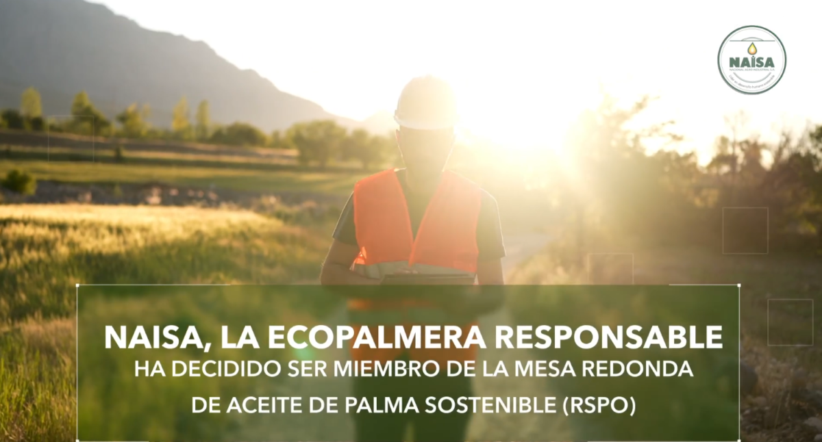 NAISA, La ecopalmera responsable ha decidido ser miembro de la mesa redonda de aceite de palma sostenible (RSPO) imagen