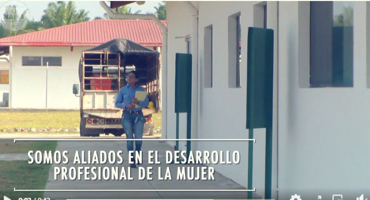 Somos aliados en el desarrollo profesional de la mujer imagen