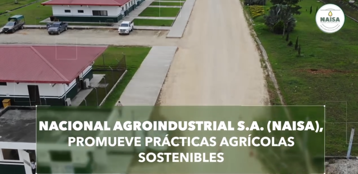 NAISA promueve prácticas agrícolas sostenibles imagen