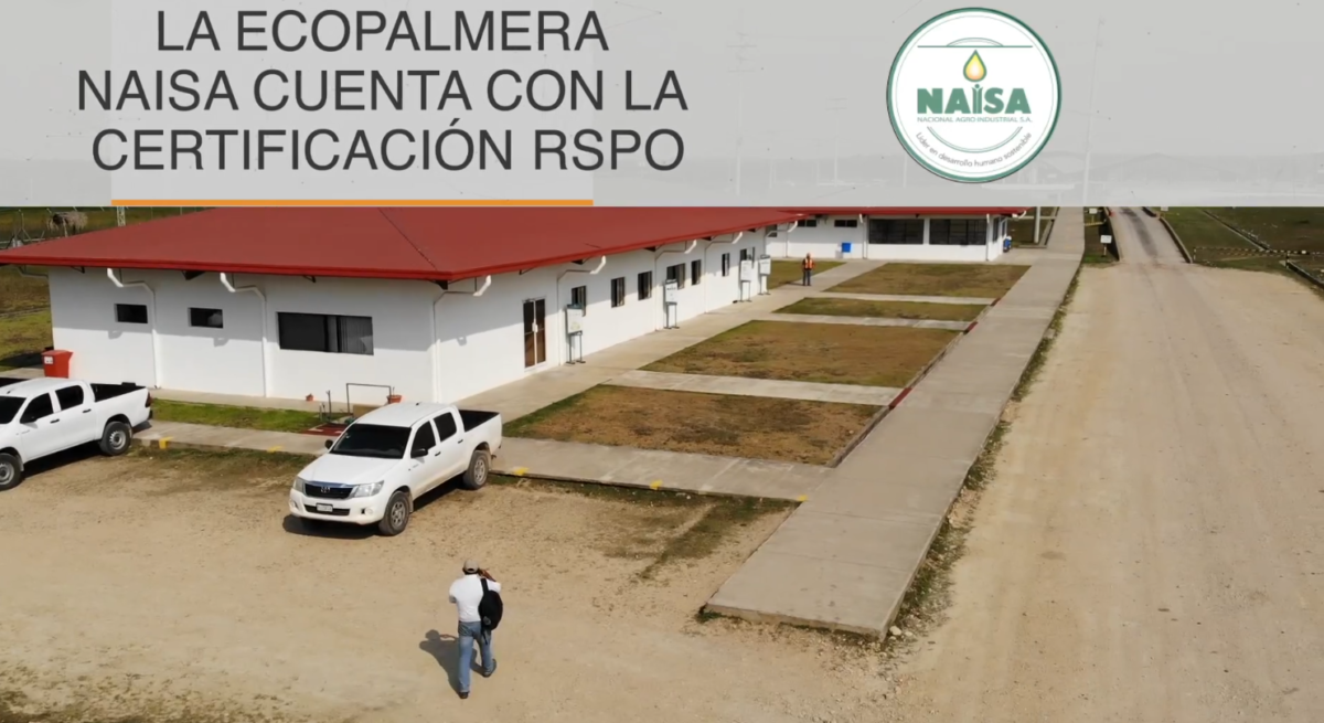 La ecopalmera NAISA cuenta con la certificación RSPO imagen